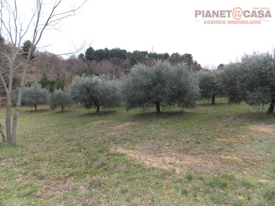 Helårsgrund i San Benedetto Del Tronto, Ascoli Piceno - foto 2