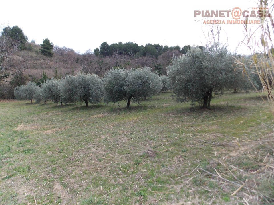 Helårsgrund i San Benedetto Del Tronto, Ascoli Piceno - foto 3