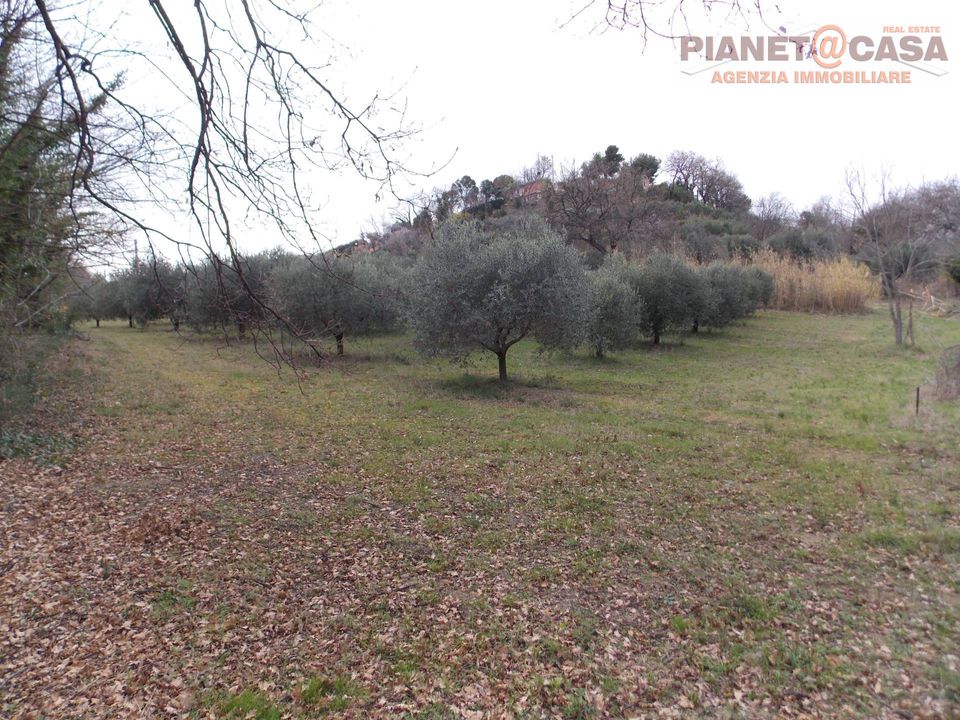 Helårsgrund i San Benedetto Del Tronto, Ascoli Piceno - foto 4