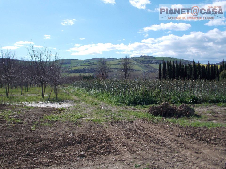 Helårsgrund i Colli del Tronto, Ascoli Piceno - foto 2