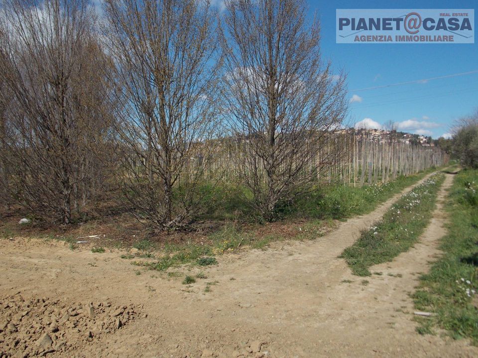 Helårsgrund i Colli del Tronto, Ascoli Piceno - foto 3