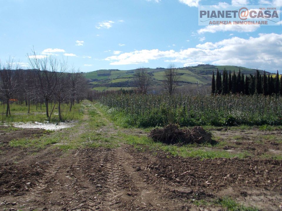 Helårsgrund i Colli del Tronto, Ascoli Piceno - foto 4