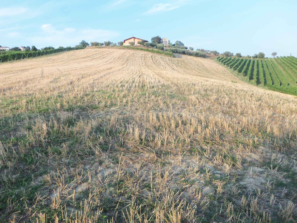 Helårsgrund i Monsampolo del Tronto, Ascoli Piceno - foto 2