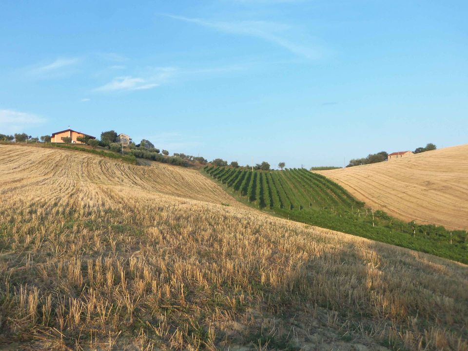 Helårsgrund i Monsampolo del Tronto, Ascoli Piceno - foto 3