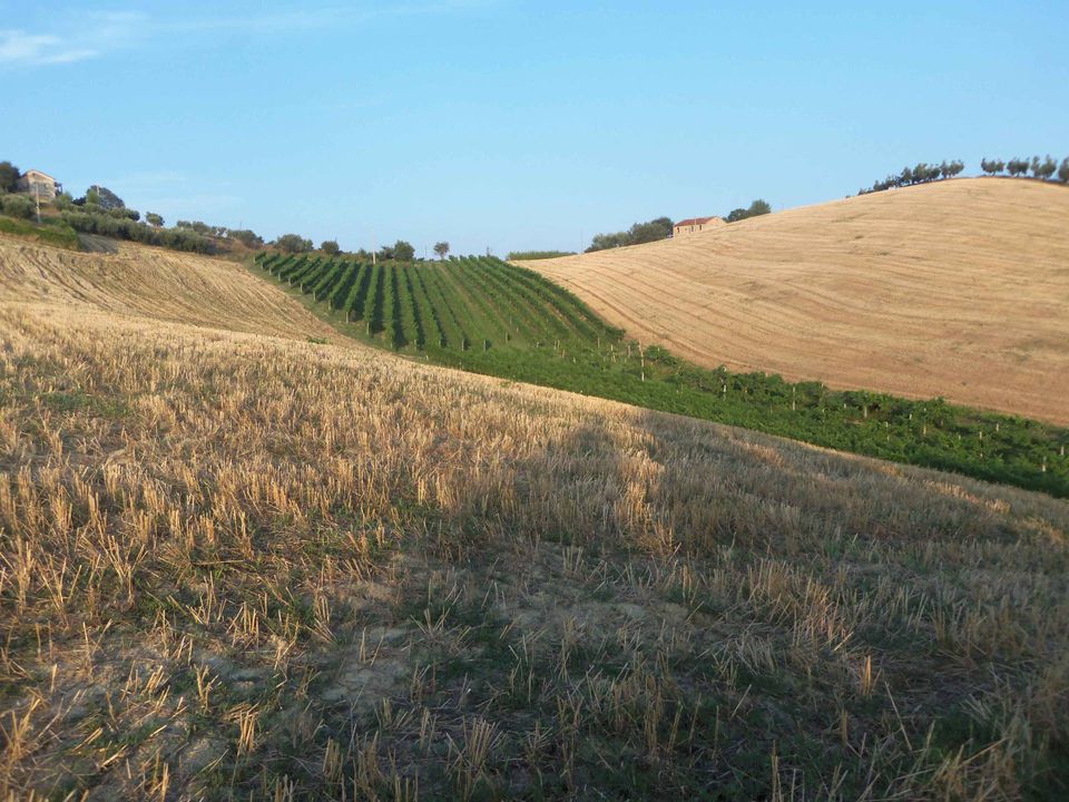 Helårsgrund i Monsampolo del Tronto, Ascoli Piceno - foto 4