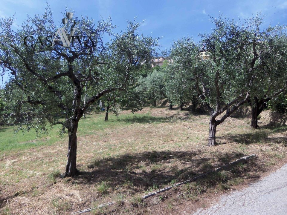 Grond in Acquaviva Picena, Ascoli Piceno - foto 3