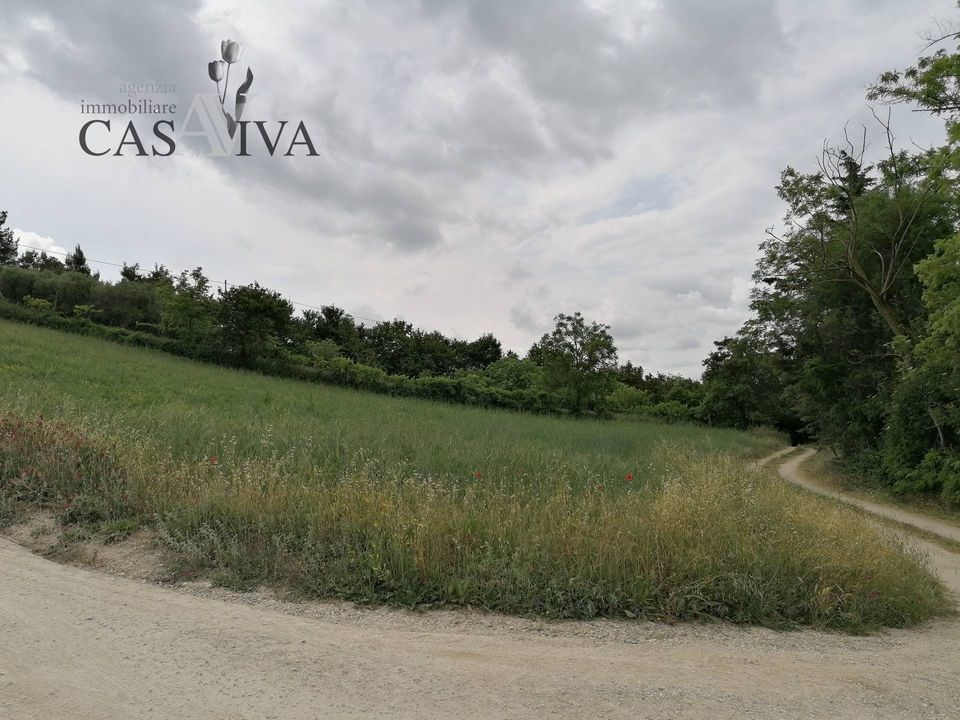 Helårsgrund i Acquaviva Picena, Ascoli Piceno - foto 4