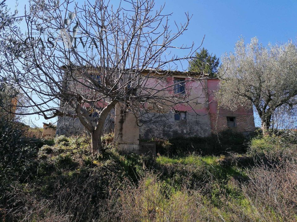 Landejendom i Acquaviva Picena, Ascoli Piceno - foto 4