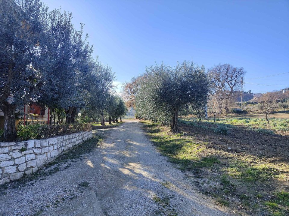 Landejendom i Acquaviva Picena, Ascoli Piceno - foto 3
