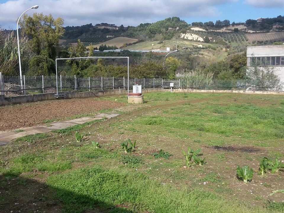 Grond in Acquaviva Picena, Ascoli Piceno - foto 2