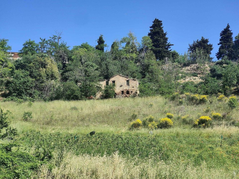 Masia a Ripatransone, Ascoli Piceno - foto 2