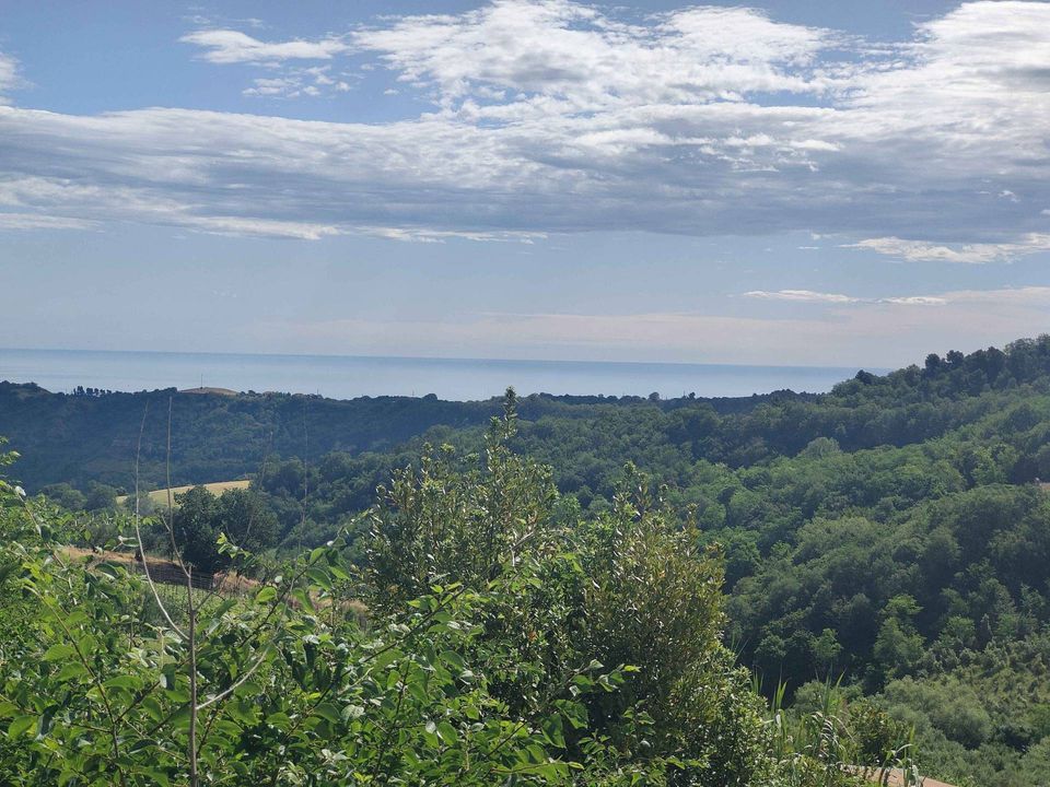 Masia a Ripatransone, Ascoli Piceno - foto 3