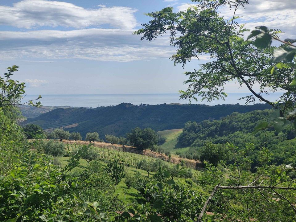 Masia a Ripatransone, Ascoli Piceno - foto 5