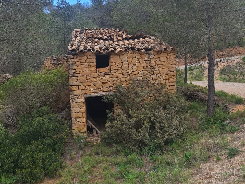 Finca i Asco, Tarragona - foto 1