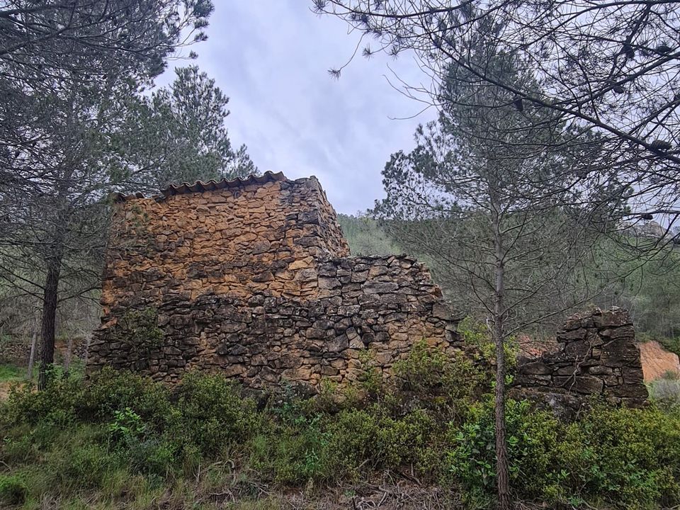 Finca i Asco, Tarragona - foto 5