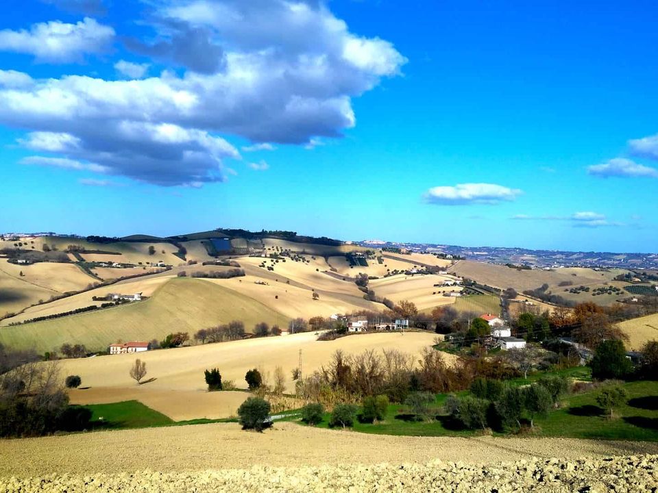 Helårsgrund i Montegranaro, Fermo - foto 3