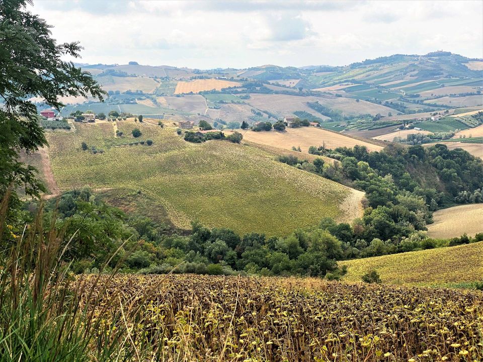 Helårsgrund i Carassai, Ascoli Piceno - foto 1