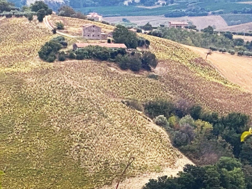 Helårsgrund i Carassai, Ascoli Piceno - foto 3
