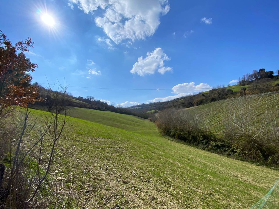Villa i Montefiore dell'Aso, Ascoli Piceno - foto 2