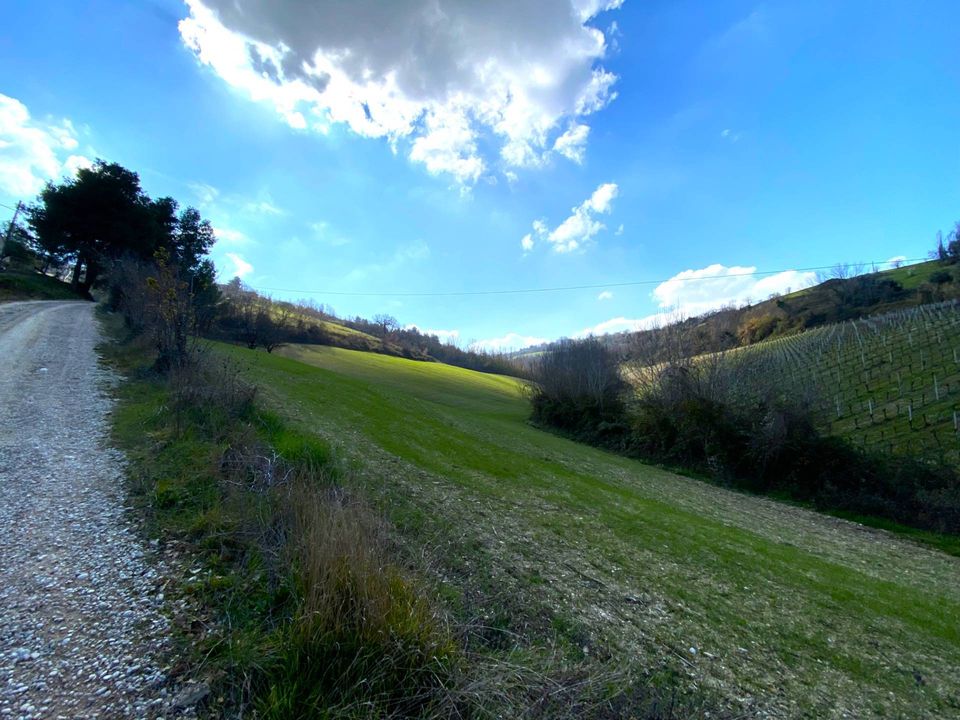 Villa i Montefiore dell'Aso, Ascoli Piceno - foto 3
