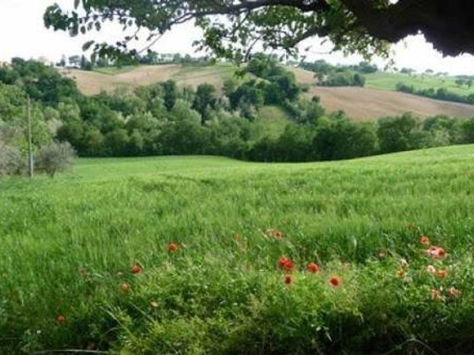 Villa i Montefiore dell'Aso, Ascoli Piceno - foto 4