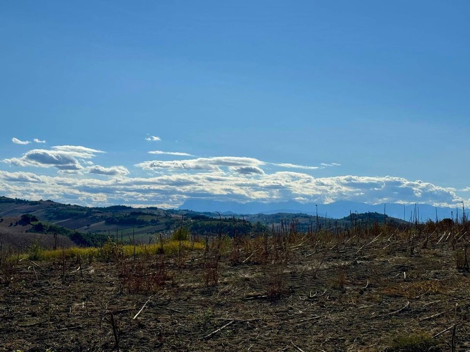 Landejendom i Fermo, Fermo - foto 4
