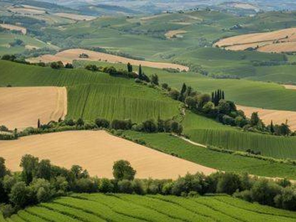 Tomt i Monte San Pietrangeli, Fermo - bilde 3