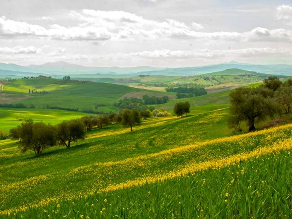 Tomt i Monte San Pietrangeli, Fermo - bilde 2