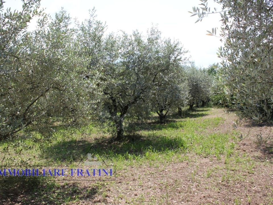 Helårsgrund i Colli del Tronto, Ascoli Piceno - foto 1