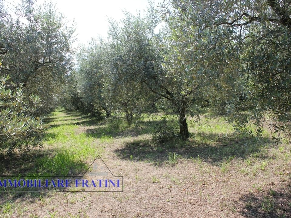 Helårsgrund i Colli del Tronto, Ascoli Piceno - foto 2