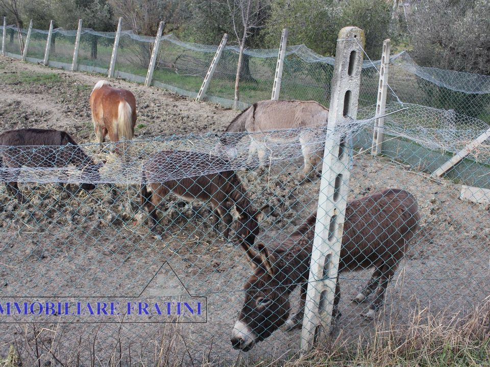 Helårsgrund i Appignano del Tronto, Ascoli Piceno - foto 5