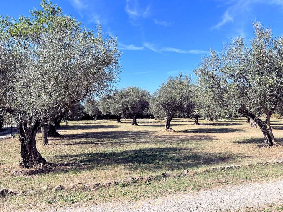 Villa i Pitigliano, Grosseto - foto 4