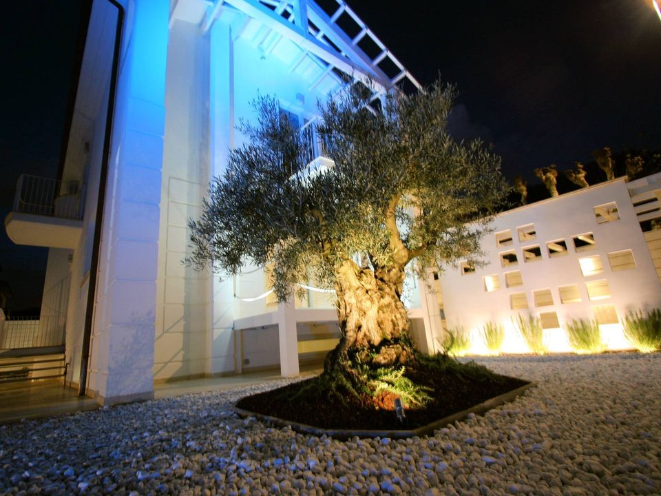 Villa i Camaiore, Lucca - foto 3