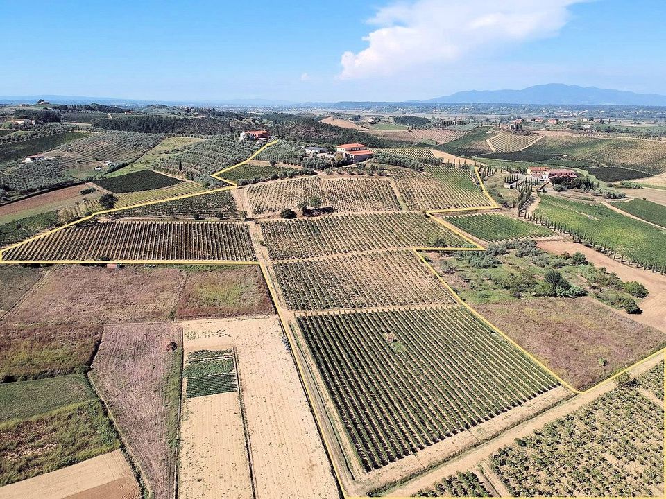 Landejendom i Cerreto Guidi, Florence - foto 4