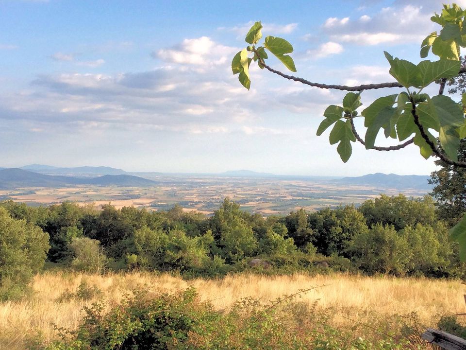 Landejendom i Roccastrada, Grosseto - foto 1