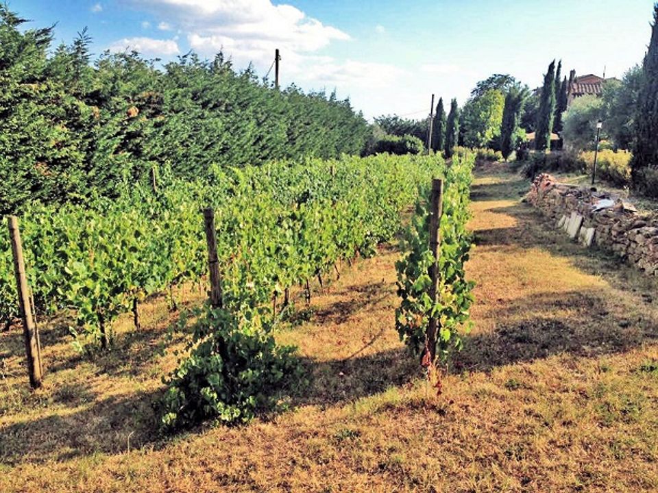 Landejendom i Cortona, Arezzo - foto 3