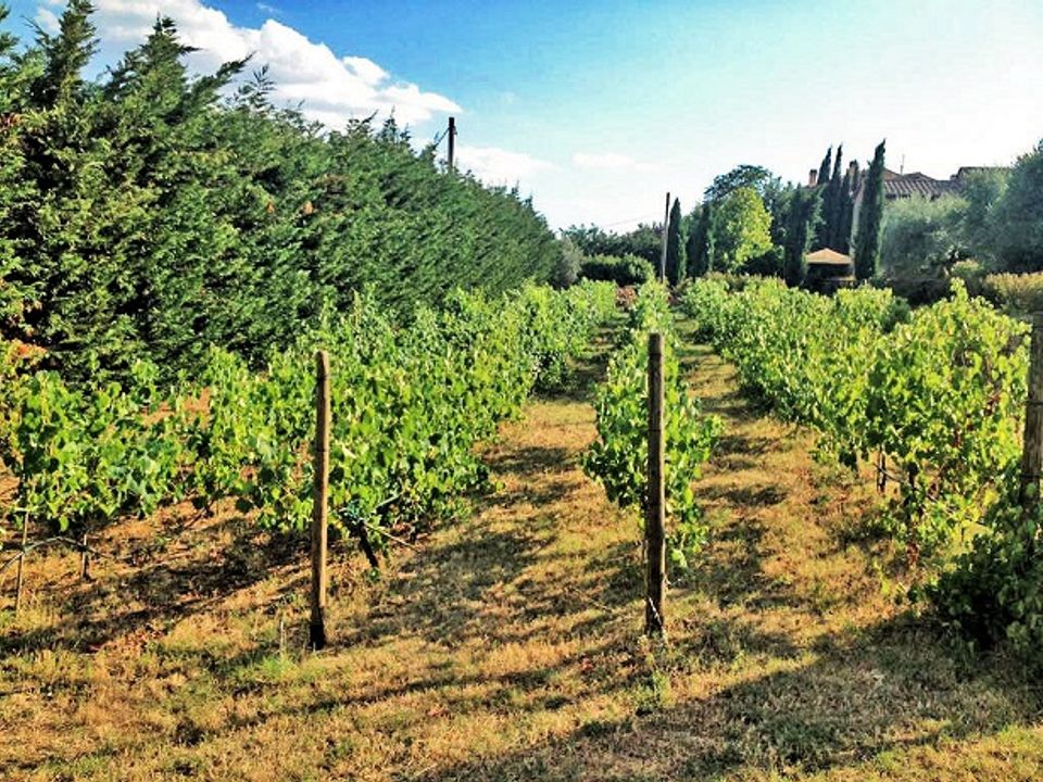 Landejendom i Cortona, Arezzo - foto 4