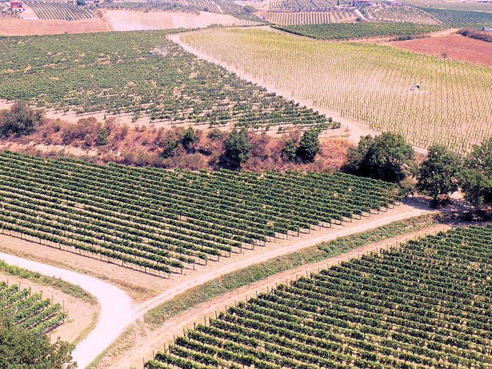 Landejendom i Montepulciano, Siena - foto 1