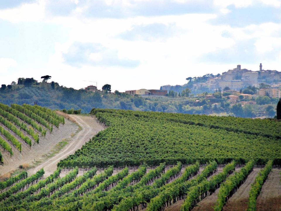 Landejendom i Montepulciano, Siena - foto 2