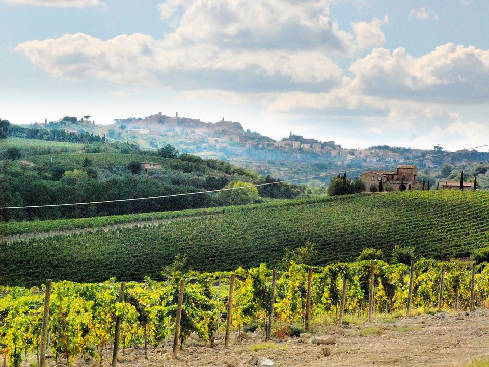 Landejendom i Montepulciano, Siena - foto 3