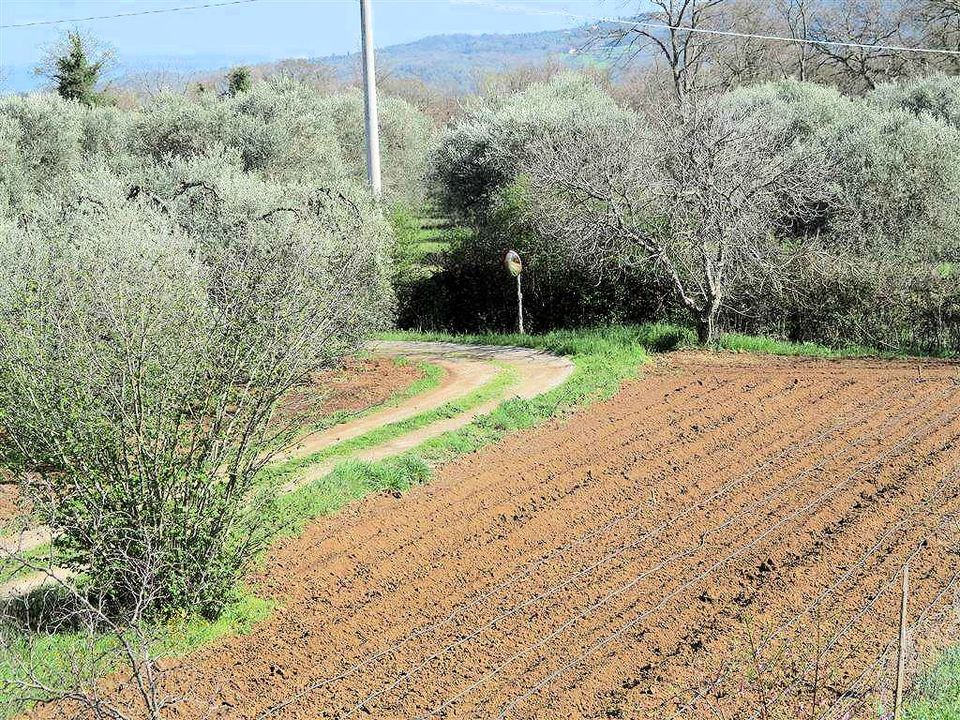 Landejendom i Gavorrano, Grosseto - foto 2