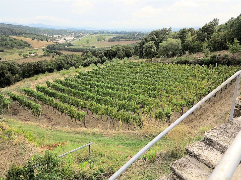 Landejendom i Massa Marittima, Grosseto - foto 3