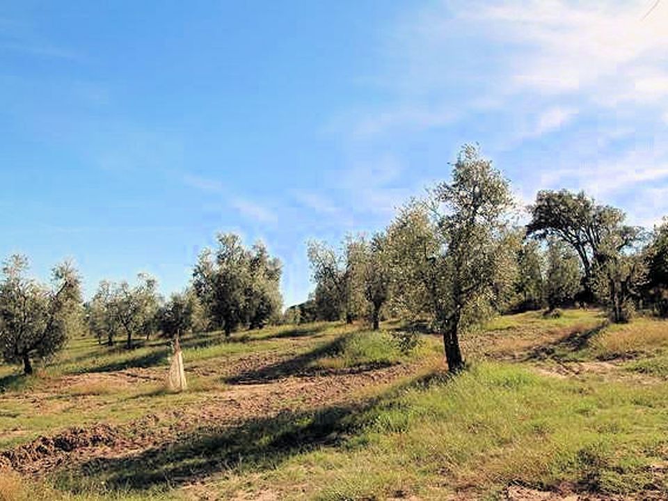 Landejendom i Roccastrada, Grosseto - foto 5