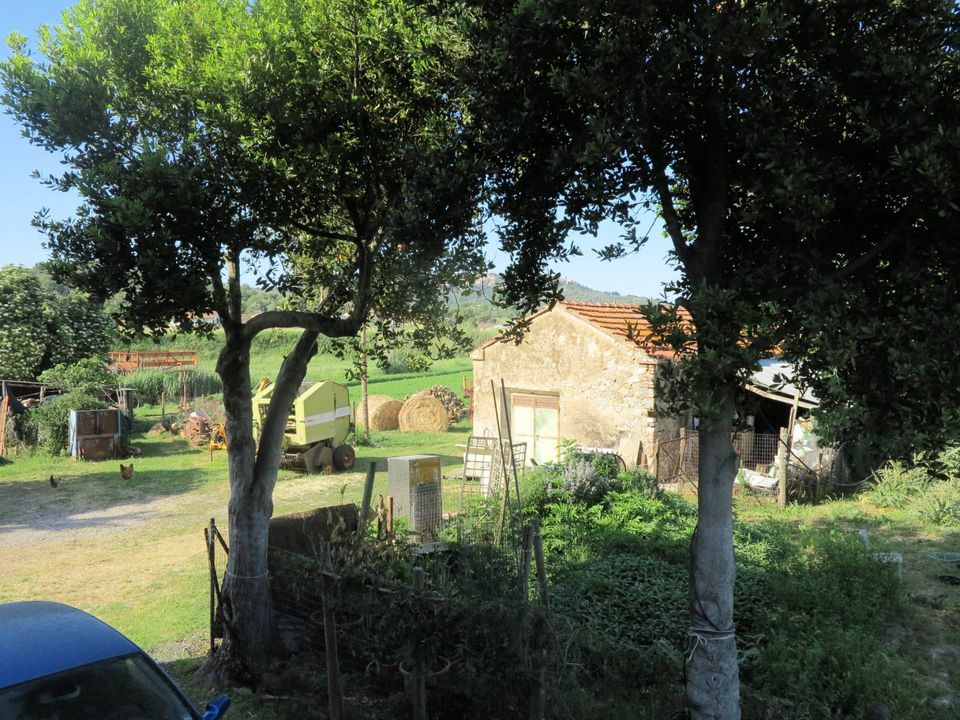 Landejendom i Gavorrano, Grosseto - foto 4