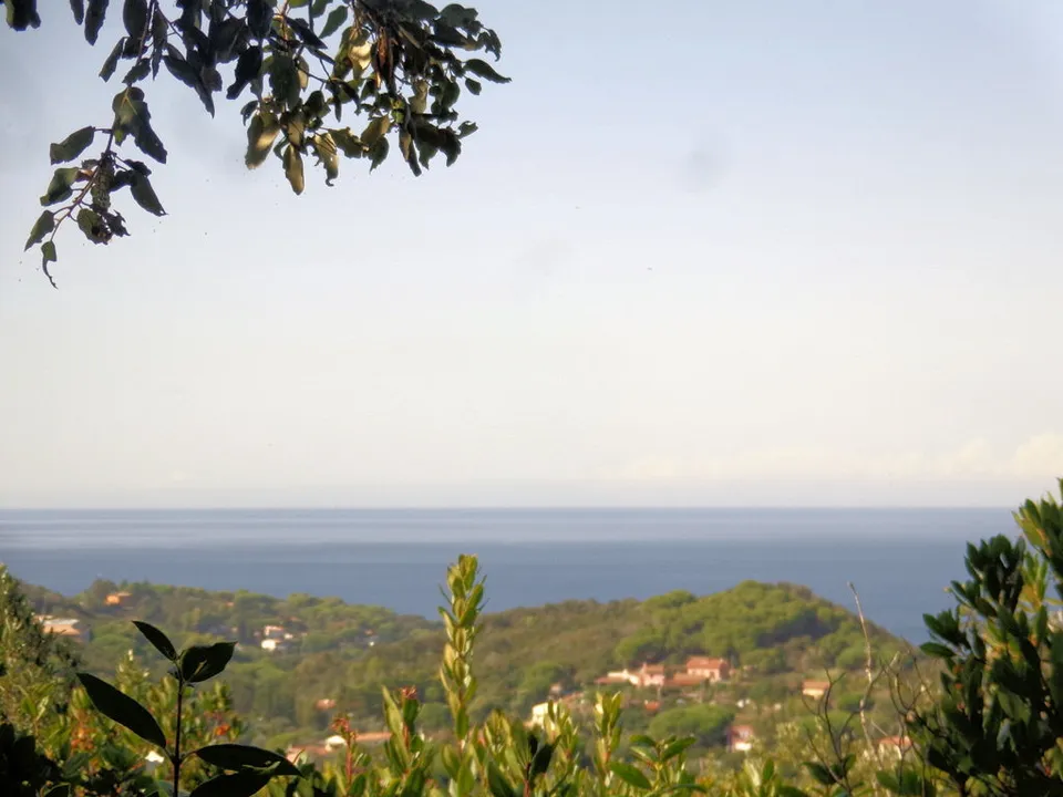 Farm i Campo Nell'Elba, Livorno - foto 1