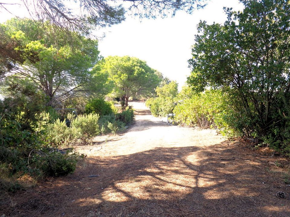 Farm i Campo Nell'Elba, Livorno - foto 2