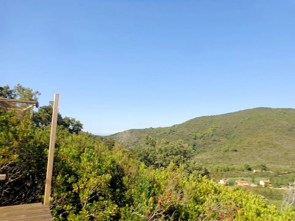 Farm i Campo Nell'Elba, Livorno - foto 3