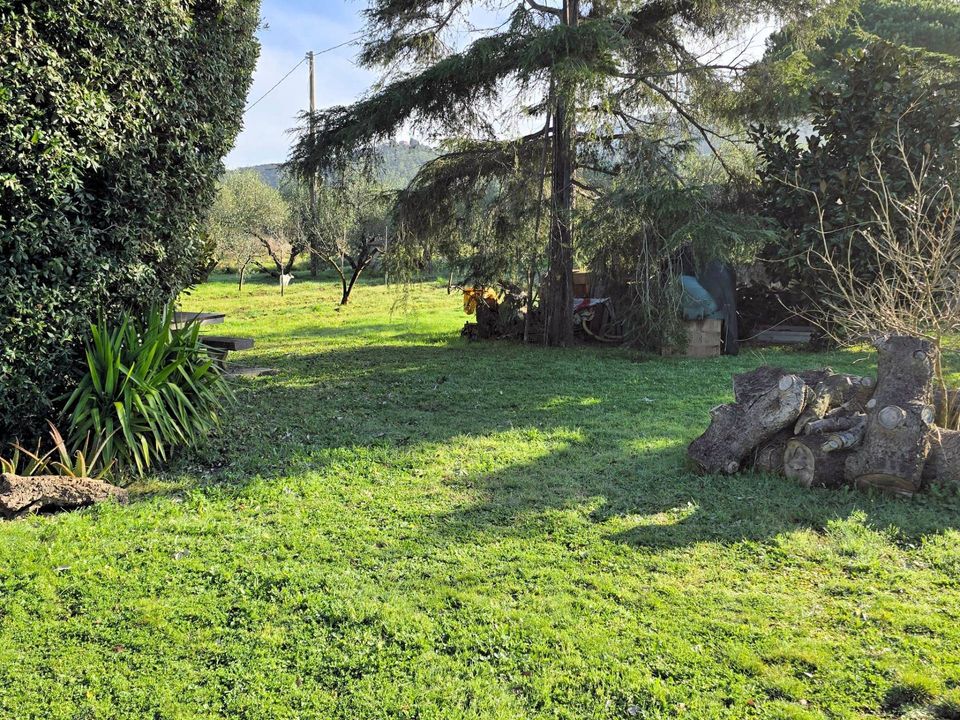 Landejendom i Scarlino, Grosseto - foto 3