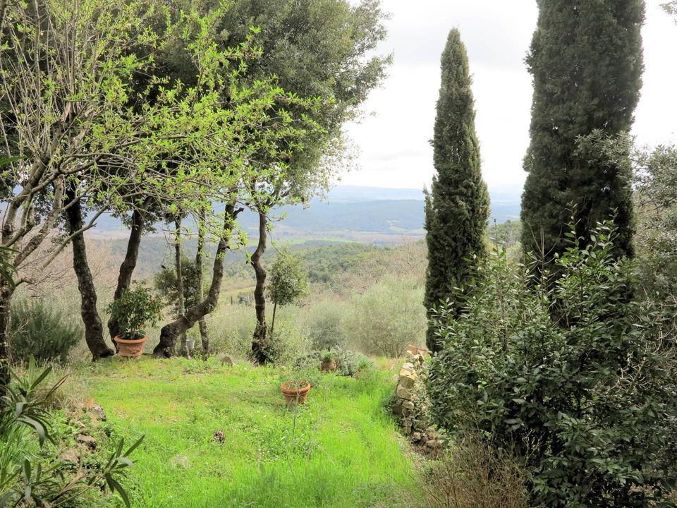 Landejendom i Civitella Paganico, Grosseto - foto 4