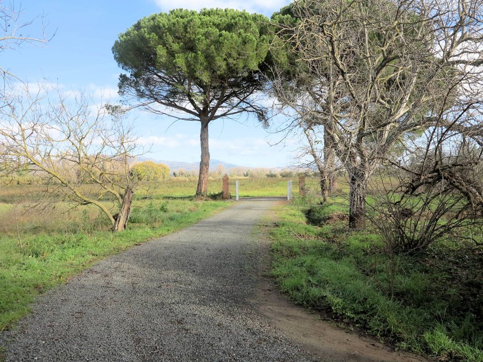Landejendom i Roccastrada, Grosseto - foto 2